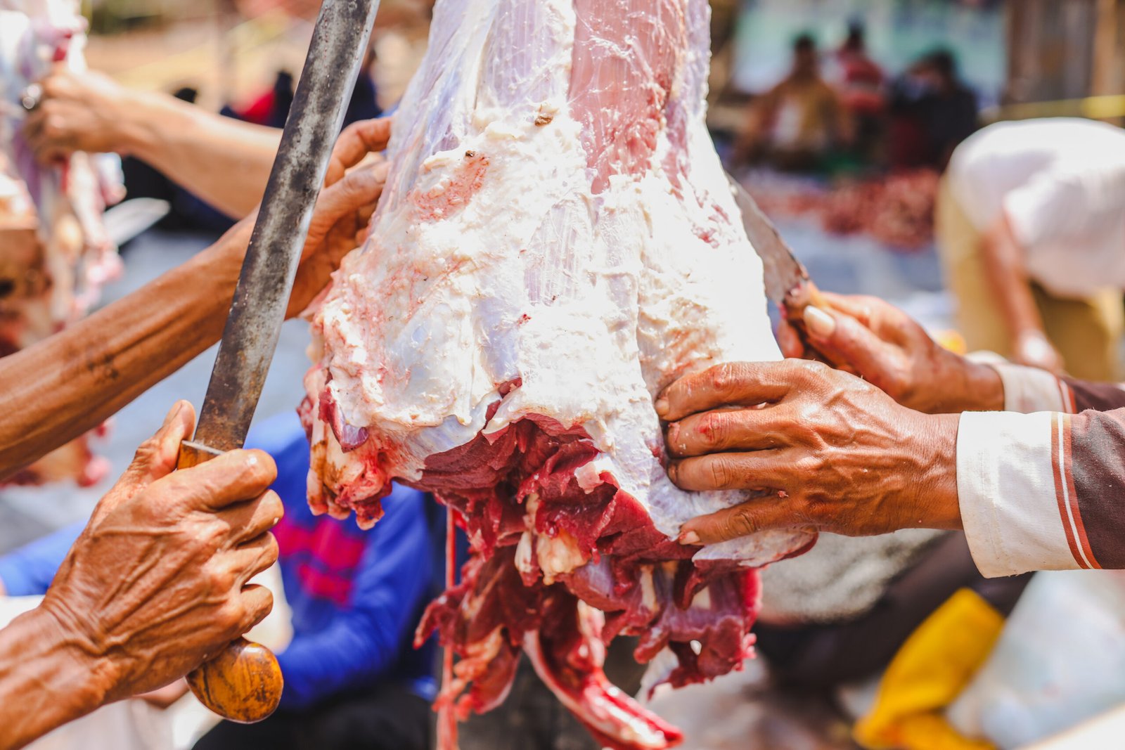 Qurbani meat being prepared for families in Gaza